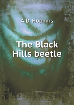 Black Hills beetle