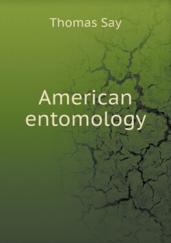 American entomology