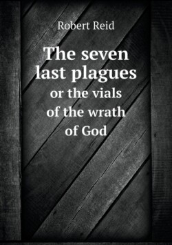 seven last plagues or the vials of the wrath of God