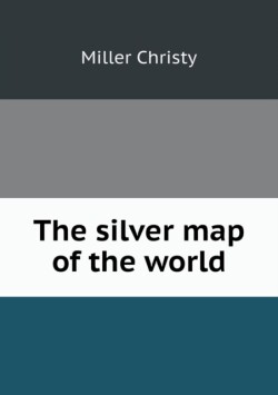silver map of the world