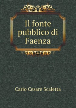 fonte pubblico di Faenza