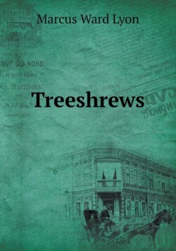 Treeshrews