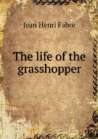 life of the grasshopper