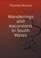 Wanderings and excursions in South Wales