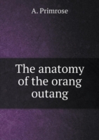 anatomy of the orang outang