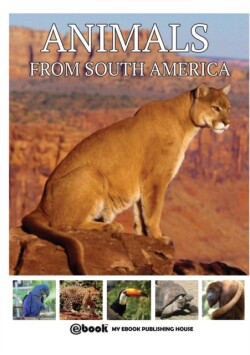 Animals from South America