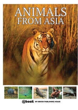 Animals from Asia