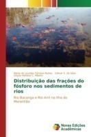 Distribuição das frações do fósforo nos sedimentos de rios