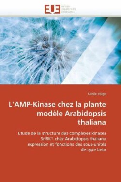 L Amp-Kinase Chez La Plante Mod�le Arabidopsis Thaliana
