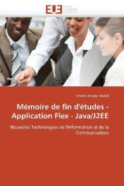 Mémoire de fin d'études - application flex - java/j2ee