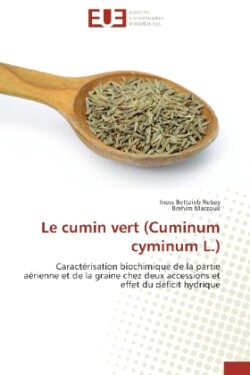 Le cumin vert (Cuminum cyminum L.)