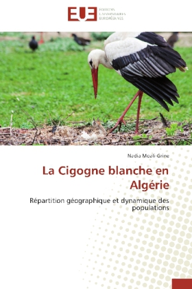 La Cigogne blanche en Algérie