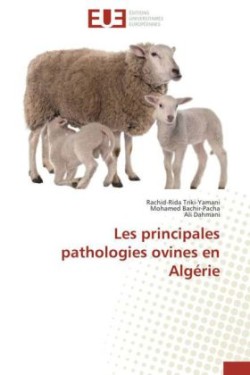 Les Principales Pathologies Ovines En Algérie
