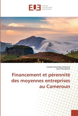 Financement et perennite des moyennes entreprises au cameroun