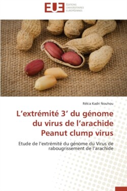 L extremite 3 du genome du virus de l arachide peanut clump virus
