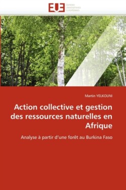 Action collective et gestion des ressources naturelles en afrique