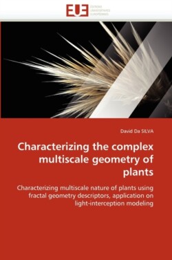 Characterizing the complex multiscale geometry of plants