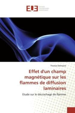 Effet d''un champ magnétique sur les flammes de diffusion laminaires