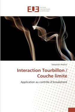 Interaction tourbillon / couche limite