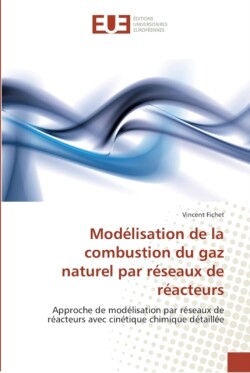 Modelisation de la combustion du gaz naturel par reseaux de reacteurs