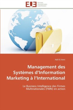 Management des systemes d information marketing a l international
