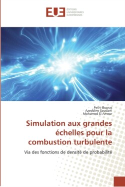 Simulation aux grandes échelles pour la combustion turbulente