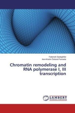 Chromatin remodeling and RNA polymerase I, III transcription