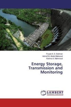 Energy Storage, Transmission and Monitoring