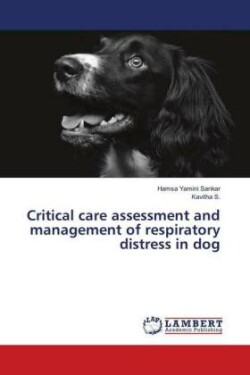 Critical care assessment and management of respiratory distress in dog