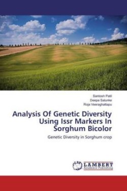 Analysis Of Genetic Diversity Using Issr Markers In Sorghum Bicolor