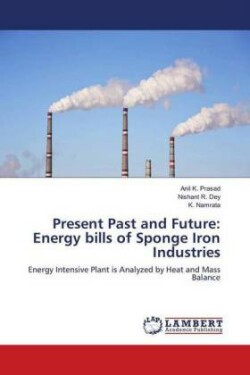 Present Past and Future: Energy bills of Sponge Iron Industries