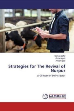 Strategies for The Revival of Nurpur