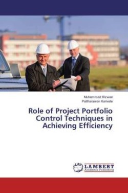 Role of Project Portfolio Control Techniques in Achieving Efficiency