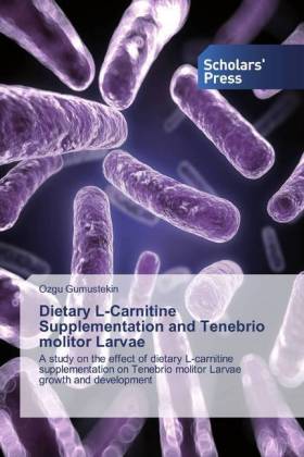 Dietary L-Carnitine Supplementation and Tenebrio molitor Larvae