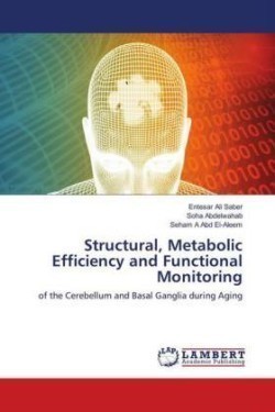 Structural, Metabolic Efficiency and Functional Monitoring
