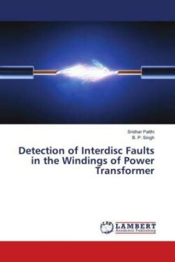 Detection of Interdisc Faults in the Windings of Power Transformer