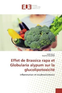 Effet de Brassica rapa et Globularia alypum sur la glucolipotoxicité