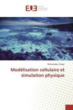 Modélisation cellulaire et simulation physique