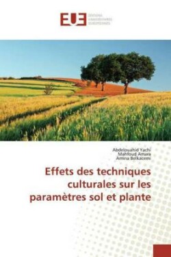 Effets des techniques culturales sur les paramètres sol et plante