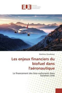 Les enjeux financiers du biofuel dans l'aéronautique