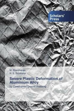 Severe Plastic Deformation of Aluminium Alloy
