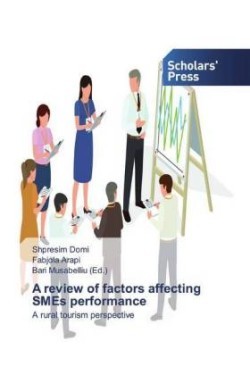 review of factors affecting SMEs performance