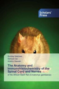 Anatomy and Immunohistochemistry of the Spinal Cord and Nerves