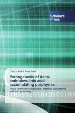 Pathogenesis of delta-aminolevulinic acid-accumulating porphyrias