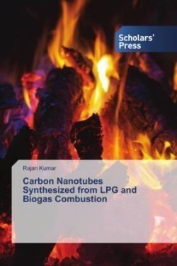 Carbon Nanotubes Synthesized from LPG and Biogas Combustion