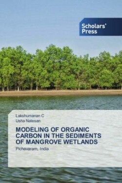 Modeling of Organic Carbon in the Sediments of Mangrove Wetlands