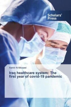 Iraq healthcare system