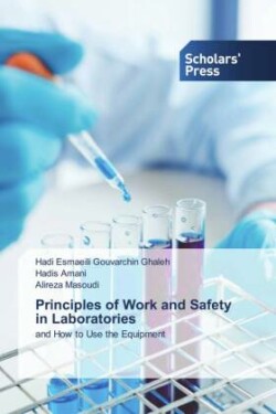 Principles of Work and Safety in Laboratories