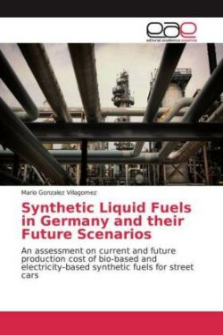 Synthetic Liquid Fuels in Germany and their Future Scenarios