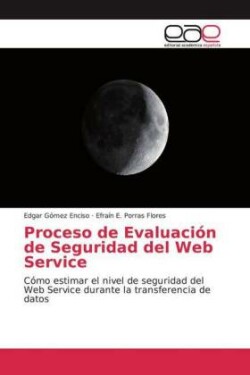 Proceso de Evaluación de Seguridad del Web Service